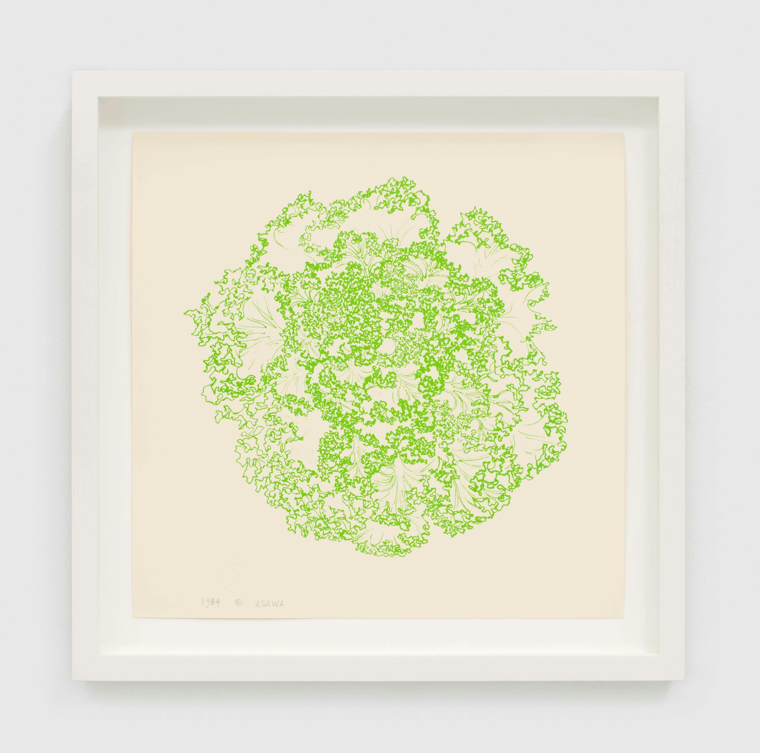A print by Ruth Asawa, titled Cabbage (P.021), dated 1984.